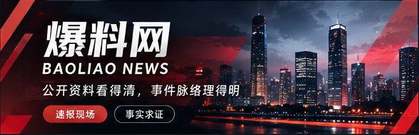 爆料网品牌宽幅视觉
